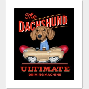 Dachshund Driving Machine Posters and Art